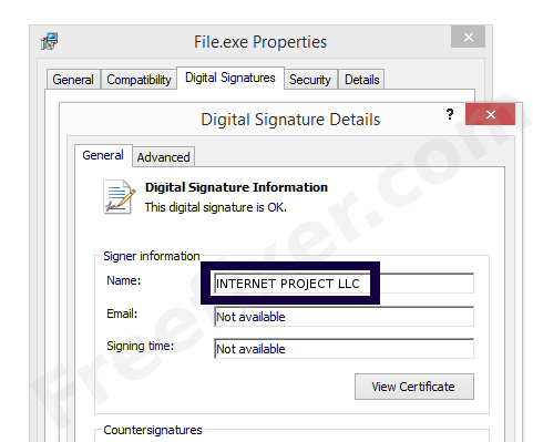 Screenshot of the INTERNET PROJECT LLC certificate